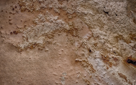 Texture wall from a brick
