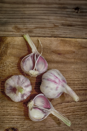 A sharp spice is  garlicの写真素材