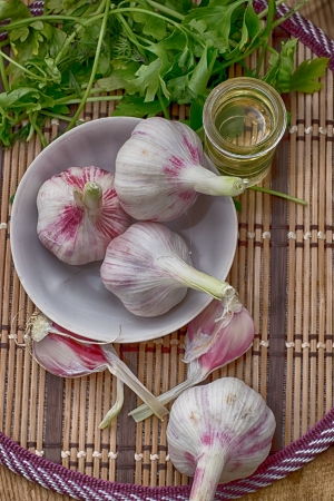 A sharp spice is  garlicの写真素材