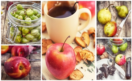 set fruit picturesの写真素材