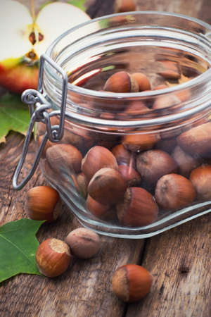 Forest hazelnuts in shellの写真素材