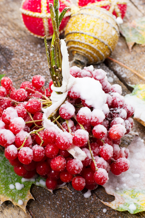 first snow has sprinkled the fruits viburnumの写真素材