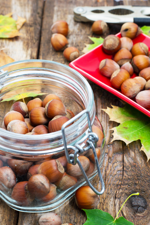 hazelnutの写真素材