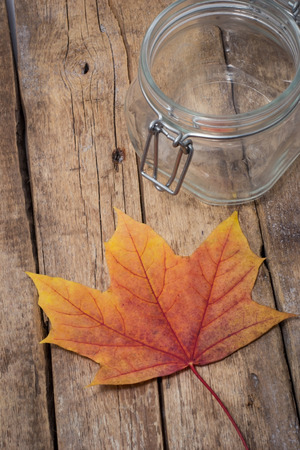 yellow autumn leaf on wooden backgroundの写真素材