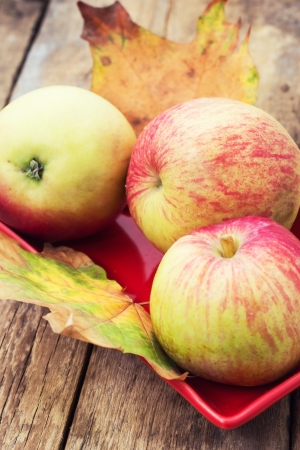 Ripe,sweet apple autumn harvest and fallen leavesの写真素材