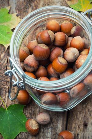 fruits of hazelnutの写真素材