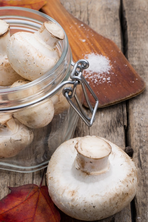 harvest of mushrooms on the wooden tableの写真素材
