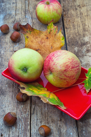 sweet apple autumn harvest and fallen leavesの写真素材