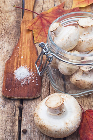 forest mushrooms on a wooden tableの写真素材