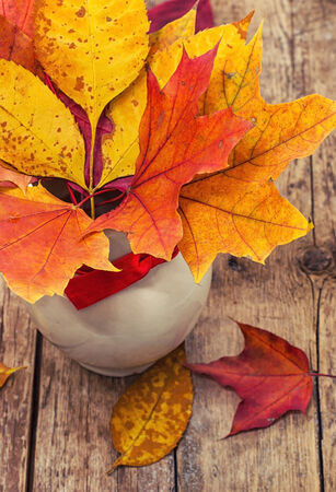 autumnの写真素材