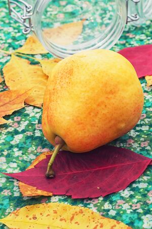 delicious pear の写真素材