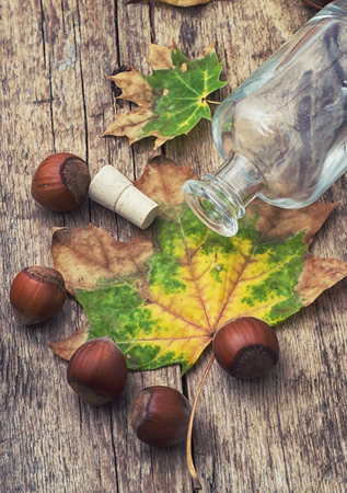 composition with nutmeg,empty bottle,autumn leafの写真素材