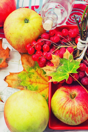 composition with three red apples and bunch of viburnumの写真素材
