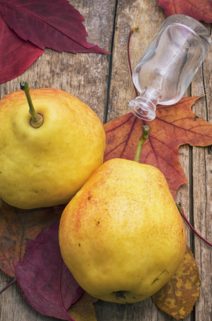 delicious pear from the gardenの写真素材