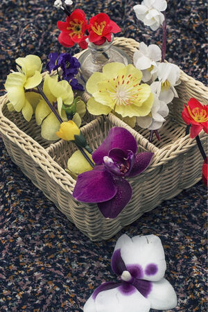 backdrop of living and artificially made of spring flowers の写真素材