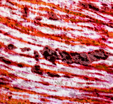 texture cut textile fabrics of different coloursの写真素材
