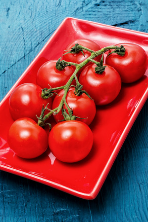 delicious fresh tomatoes on branchesの写真素材