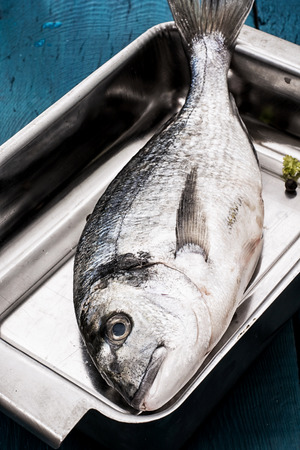 Mediterranean fish delicacy Doradoの写真素材