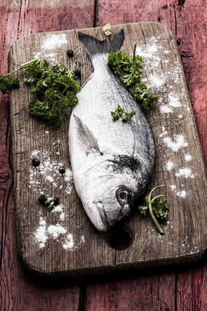 Mediterranean fish delicacy Doradoの写真素材