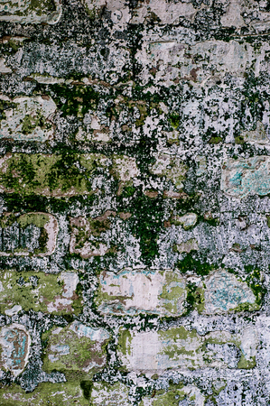 old brick wallの写真素材