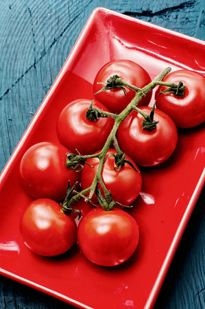 delicious fresh tomatoes on branchesの写真素材