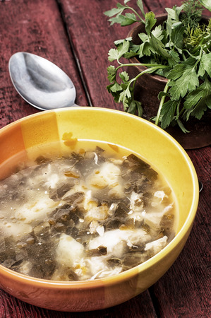 soup with fresh vegetablesの写真素材