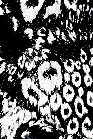 textured clothの写真素材