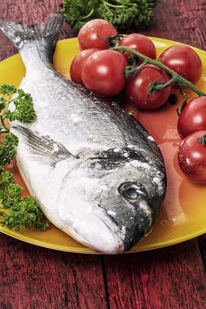 Mediterranean fish delicacy Doradoの写真素材