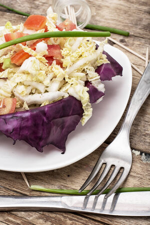 salad from fresh cabbage different varietiesの写真素材