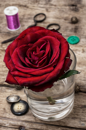 composition with red rose and sewing accessories and toolsの写真素材