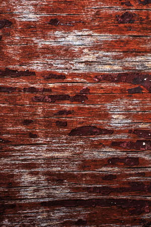texture bark of an old treeの写真素材