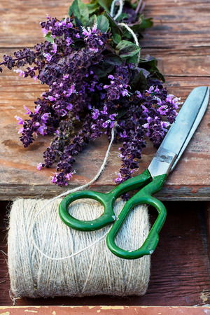 blooming bunches of herbs and spices Basilの写真素材