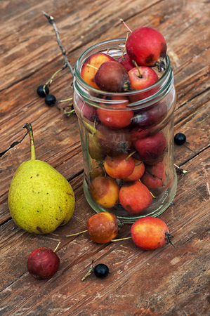autumn harvest fallen fruit and berriesの写真素材