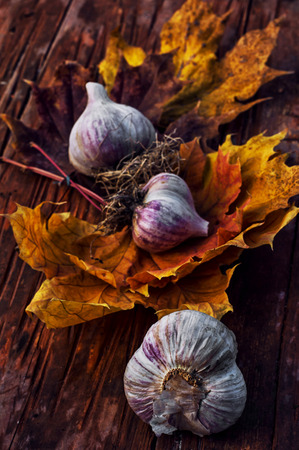 garlic head on a wooden backgroundの写真素材