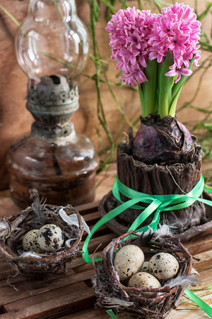 Easter still life with quail eggs,hyacinth and kerosene lampの写真素材