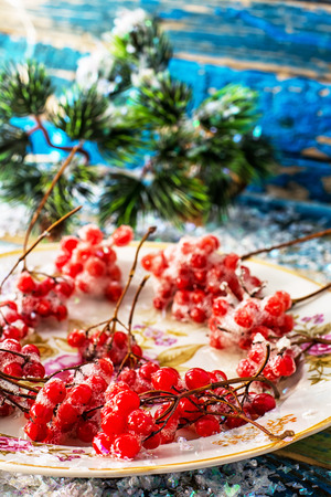 viburnumの写真素材