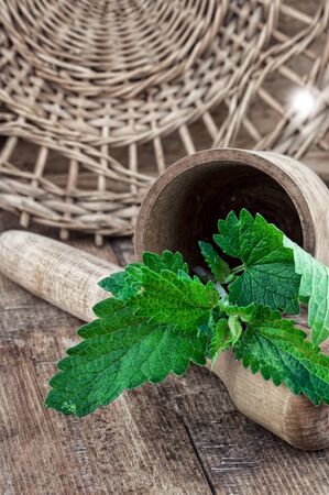 Melissa officinalis herb on wooden table topの写真素材