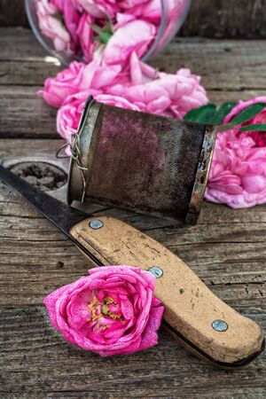 the harvest tea roses tea.The image is tintedの写真素材