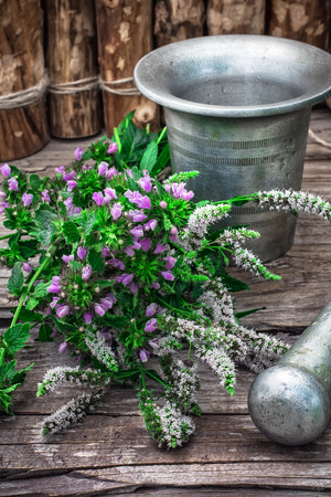 Cut bunch of cherry peppermint amid mortar in the rural style.Photo tinted.の写真素材