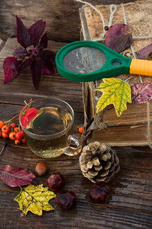 Autumn still life with autumn leaves,old books and wooden bucketの写真素材