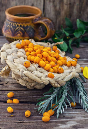 Still life with tea with fresh sea-buckthorn berries in rustic style.の写真素材
