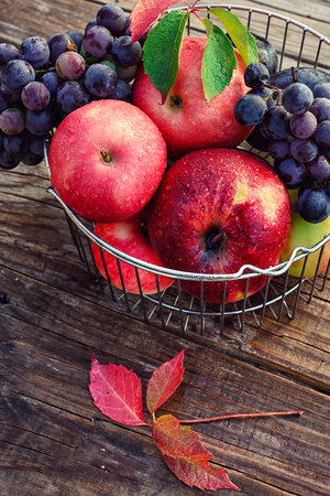 Ripe fruits in the iron basketの写真素材