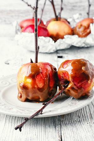Ripe apples with toffee caramel decorated with branch on a light background.の写真素材