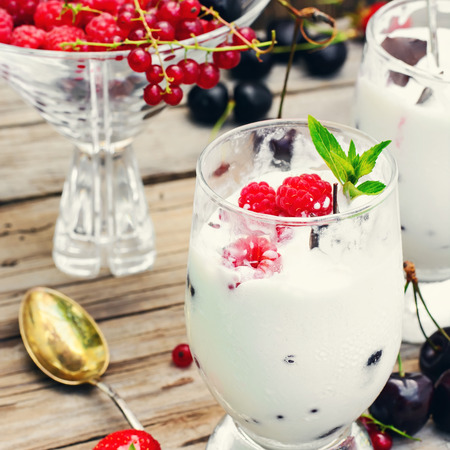 Dairy ice cream varieties decorated with raspberries and currantsの写真素材