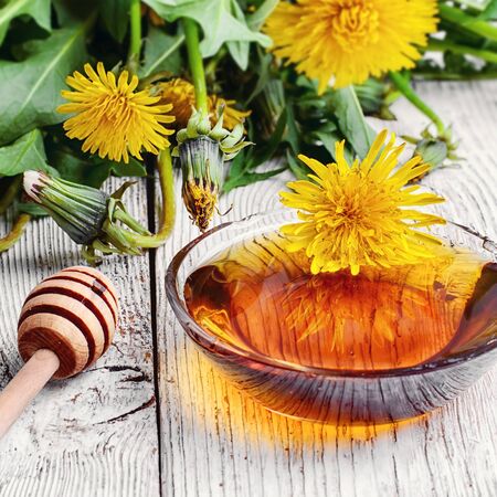 Saucer therapeutic honey made from dandelions in national recipeの写真素材
