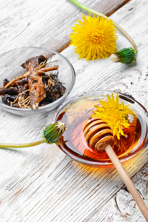 bowl of healing infusion of the flower and the root and spring of the dandelionの写真素材