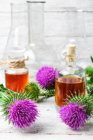 medicinal wild plants burdockの写真素材