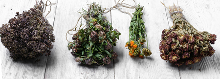 Dried healing plants on wooden background for recipesの写真素材