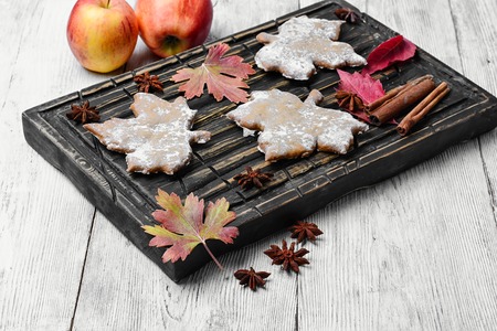Pastries like cookies maple leaf and autumn applesの写真素材