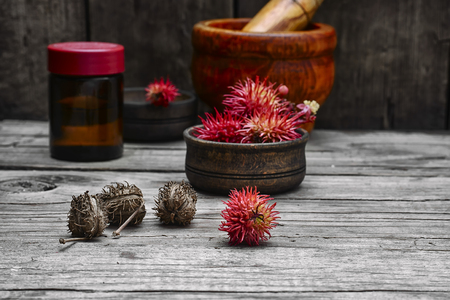 Medicinal inflorescence on the background of the mortar with the pestleの写真素材